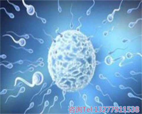 上海代生代怀,优孕行：3月19日美国试管婴儿医院FSAC北京公益咨询会-做试管婴儿