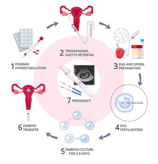 试管代生机构,试管进行婴儿技术可以生龙凤胎吗_南京供卵医院成功率_老公精子