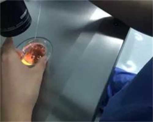 湖州3代试管婴儿的价格?,湖州哪家医院做试管好，价格多少